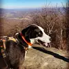 leahackerman842 - @leahackerman842 - TikTok