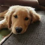 Leah Adler - @leahadler5 - Instagram