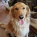 Leah Adler - Facebook