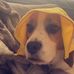Leah Newby-akers - Facebook