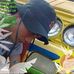 Aldan Laia - Facebook