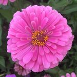 🌺Leah Appel🌺 - @photography.leah.beth - Instagram