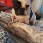 Leah Beasley - @beasley8166 - Instagram