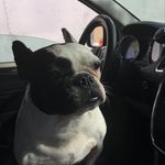 Leah Beasley - @leah_beasley6566 - Instagram