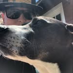 Leah Berkowitz-Gosselin - @nohoakland - Instagram