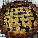 Leah M. Berkowitz - @leahberkowitz - Instagram