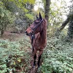 Leah - @leah_danny_darcy_bliss - Instagram