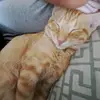 leahbliss123 - @leahbliss123 - TikTok