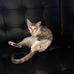 Leah Bragg - Facebook
