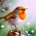 Lia Braam - Facebook