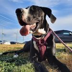 Leah Bray Gambrel - @d.e.r.b.y_the_g.r.e.a.t - Instagram