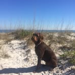 Leigh Brubaker - Facebook