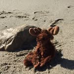 Leah Bruno - @mooseymoosetravels - Instagram