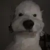 Leah - @leah._bruno - TikTok