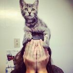Leah Buchanan - @doctorbuchanan - Instagram