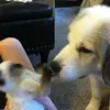 Leah Buchanan - @leah.buchanan - TikTok