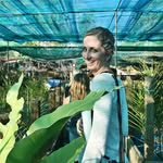 Leah Buckingham Vigari - @leahvigari - Instagram