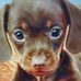 Burkhardt Li - Facebook