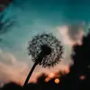 leahburlington7 - @leahburlington7 - TikTok
