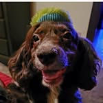 Leah Burrows Wikander - @leahmwikander - Instagram