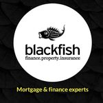 Blackfish Finance - Leah Busby - @blackfishfinance - Instagram