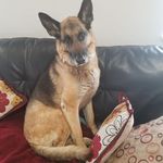 Leah Busby - @lbusby0716 - Instagram