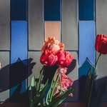 Lea Bussell - @leabussell590 - Instagram