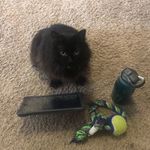 Leah Callahan - @lr_cal10083 - Instagram