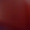 unknown - @leah_canales - TikTok