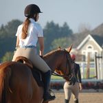 Leah, Vino and Carlin - @leah.equestrian - Instagram