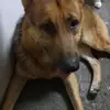 leahcates6 - @eteward - TikTok