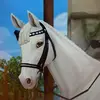 𝓜𝓪𝓭𝓲♡ - @leah.clover - TikTok