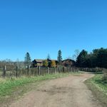 Leah & Cody Griesbach - @thegriesbachfarmhouse - Instagram