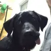 leah - @leah.cody - TikTok