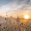 Leah - @leahb.cody - TikTok