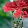 leahcolson390 - @leahcolson390 - TikTok