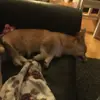 leah.cool - @leah.cool - TikTok