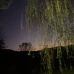 𝐋𝐞𝐚𝐡 - @leahcottle0 - Instagram