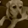 kaia - @leahcrow6306 - TikTok
