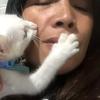 Leah - @leahcui02 - TikTok