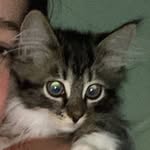 Leah - @leah_dalen07 - Instagram