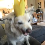 Leah Danielson - @danielson.leah - Instagram