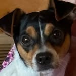 Leah  Dearborn - @chickywicky63 - Instagram