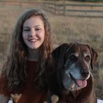 Leah DeWitt - @leahsdoesart - Instagram
