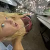 leah downer - @leah.downer - TikTok