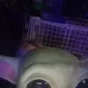 leahdownam618 - @leahdownam618 - TikTok
