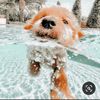 Leah Downing - @leah.downing5 - TikTok
