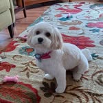 Leah Drews - @drews.leah - Instagram