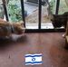 Lea Edelman - Facebook