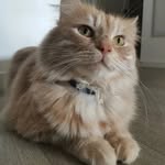 Lea Boidin - @lea_helyas - Instagram